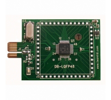 Immagine DB-LQFP48-LPC2106.