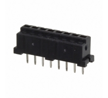 Immagine DF3-8S-2DSA(50).