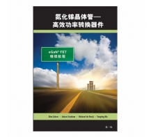 Immagine GAN FET BOOK SIMPLIFIED CHINESE VERSION.