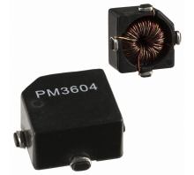 Immagine PM3604-25-B.