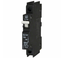 Immagine C15A1P-80VDC.