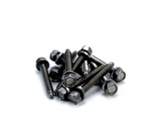 Immagine 2178-L/S-248-BOLTS.