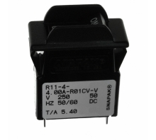 Immagine R11-4-4.00A-R01CV-V.