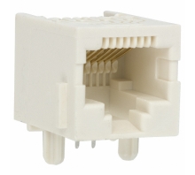 Immagine RJ45-8L-B.