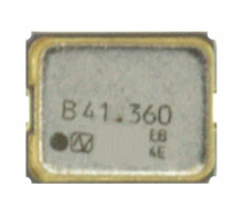 Immagine NZ2520SB-41.360MHZ.