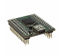 Immagine FT2232H MINI MODULE.