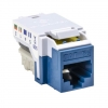 RJ45FC5EB-BLU