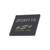 BGM11S12F256GA-V2